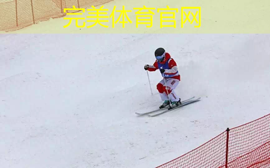 自由式滑雪公开组男子、女子雪上技巧比赛开赛播报文章